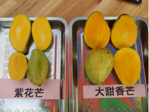 图片26.png