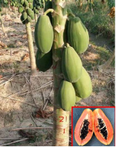 图片21.png