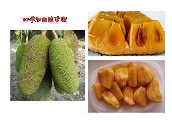 图片30.png